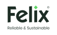 754 felix logo2k23 1