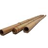 Bamboe paal 270 x 7-8 cm