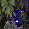 Smart Scope tone 12V