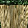 Gespleten bamboe mat 500x200 cm