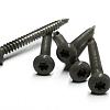RVS schroef met gekleurde top voor NTW Castellation PRO, set a 50 stuks incl. bit, Silver gray.