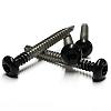 RVS schroef met gekleurde top voor NTW Castellation PRO, set a 50 stuks incl. bit, Ebony Zwart.