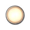 Pega | blanco grondspot | warmwit | 1,2 watt | OutdoorPro+ | 12 volt