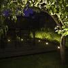 Lamp DB-LED Warm White