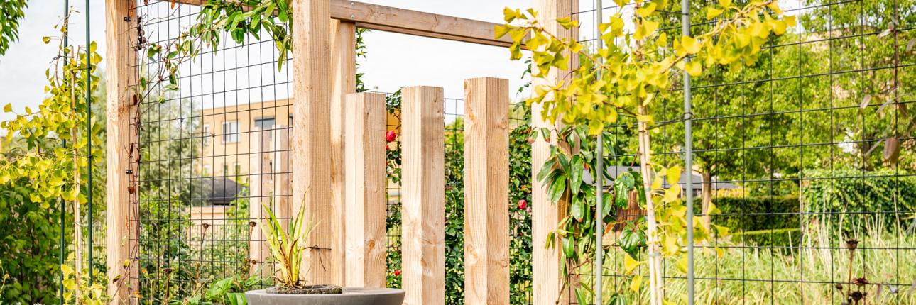 32788 douglas pergola 1