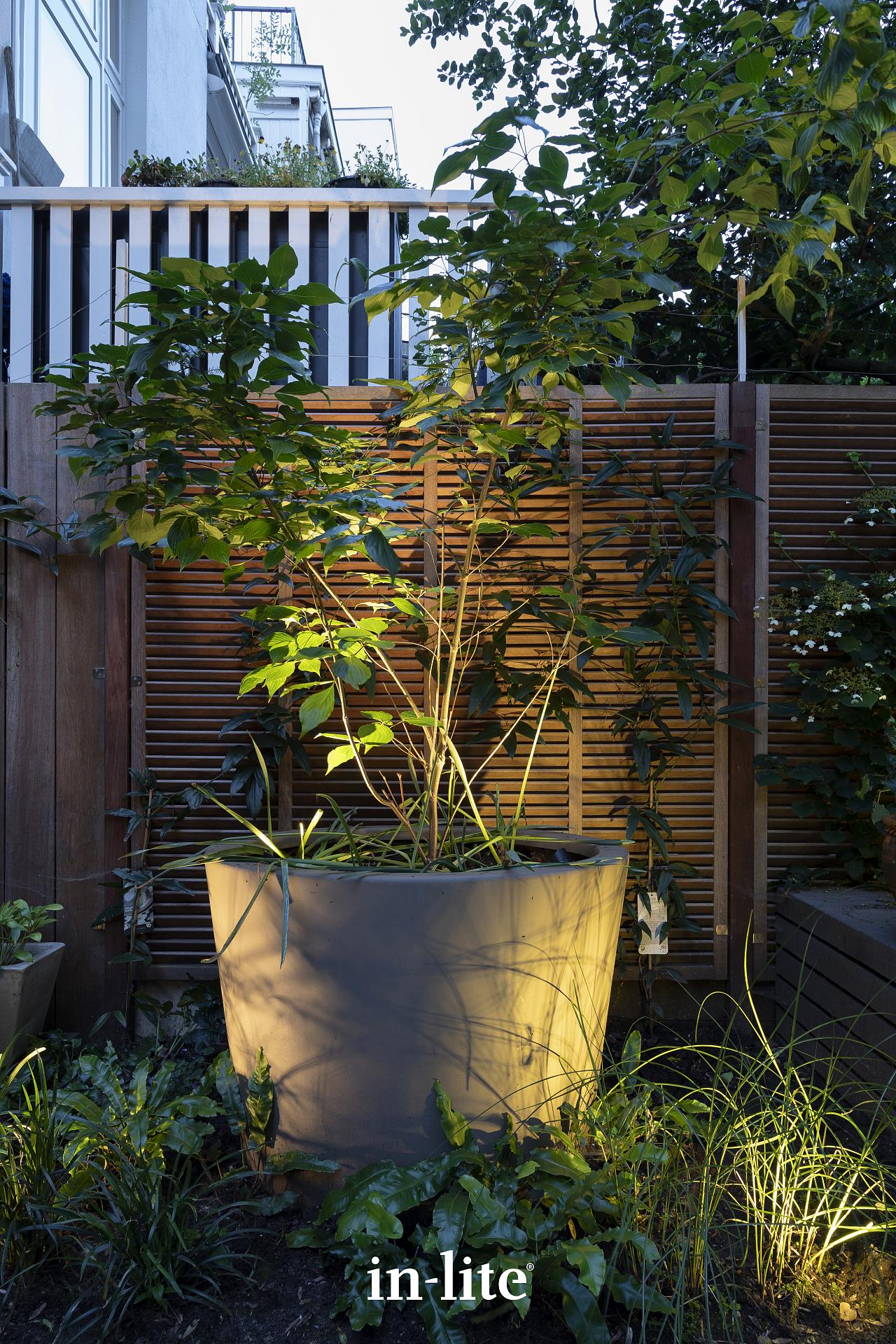 mini scope atmospheric photography 5