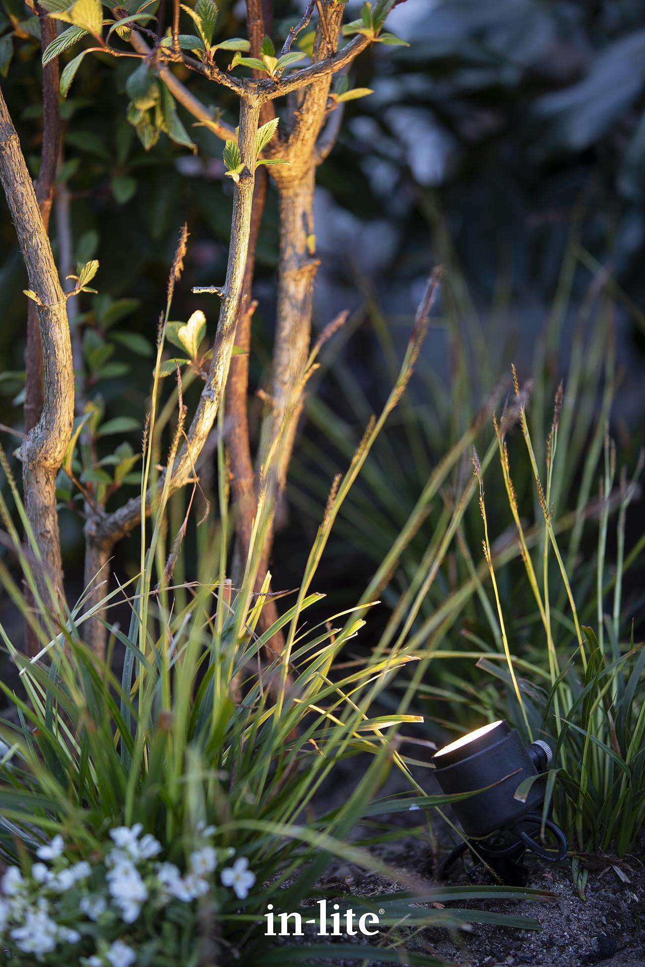 mini scope atmospheric photography 2