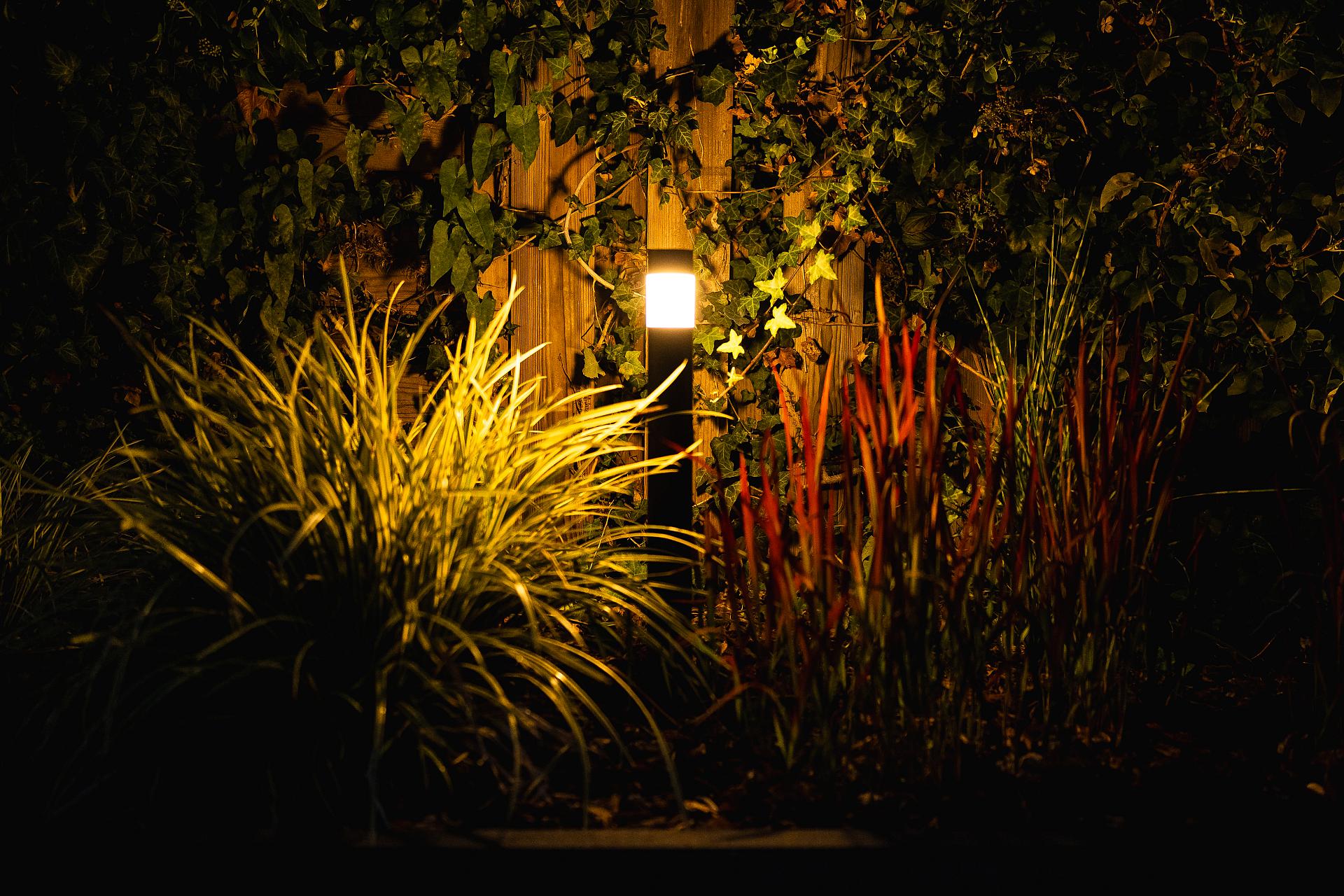 20251003 hamulight hq 0135b