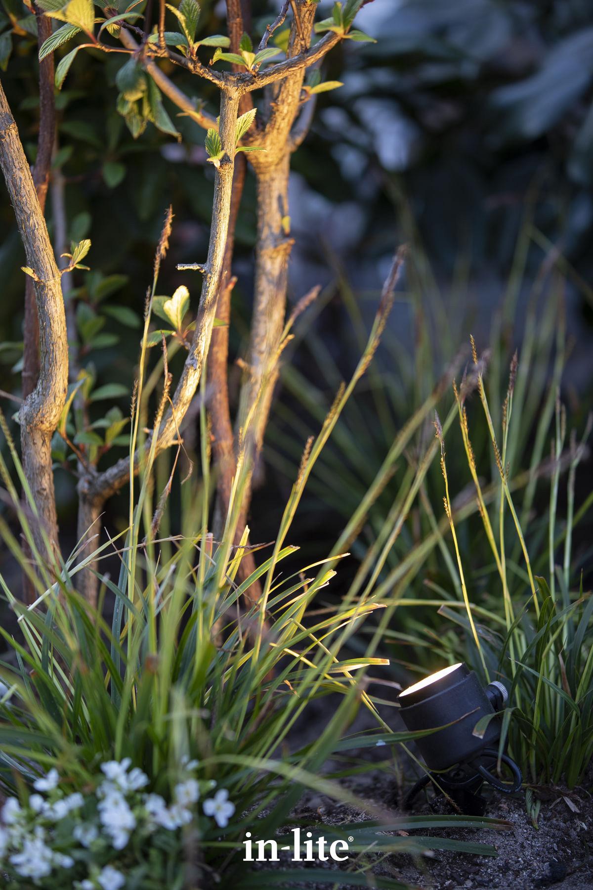 mini scope atmospheric photography 2