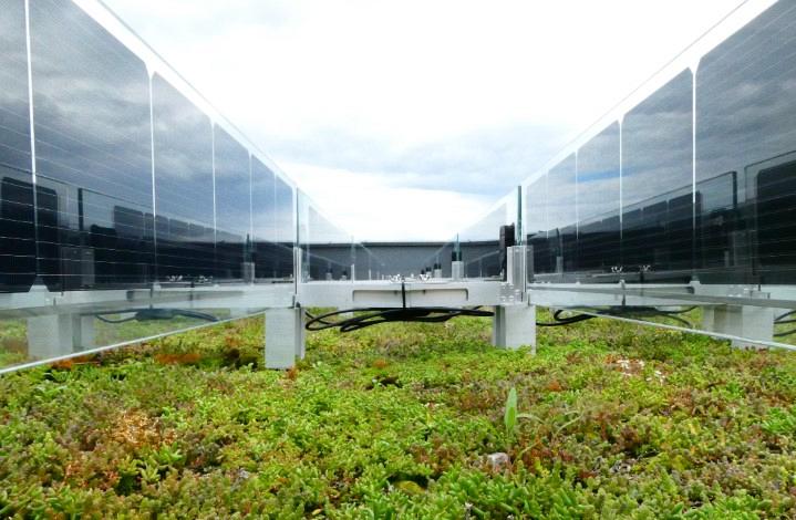 solar groendak 2