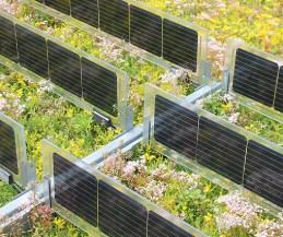 solar groendak 3