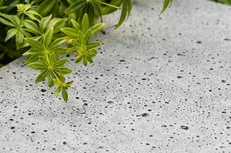 tuin in zoetermeer   web