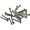 Cedar