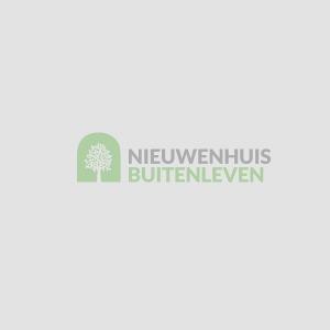Nieuwenhuis Buitenleven