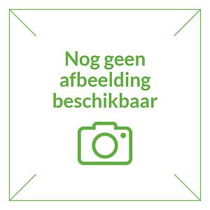 Grondnagels per stuk