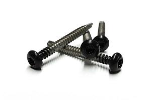 RVS schroef met gekleurde top voor NTW Castellation PRO, set a 50 stuks incl. bit, Ebony Zwart.