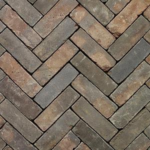 Oliva getrommeld (diverse maten)