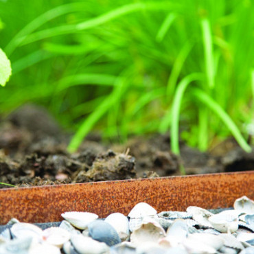 COL-MET corten staal 5mm (diverse maten)