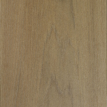 Forest 80x40x4 Betula brown