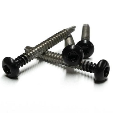 RVS schroef met gekleurde top voor NTW Castellation PRO, set a 50 stuks incl. bit, Ebony Zwart.