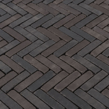 Terra Modena Antica WF65 204x5x67 mm onbezand