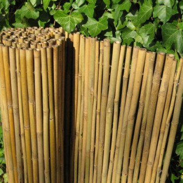 Bamboe rolscherm Dalian (diverse maten)