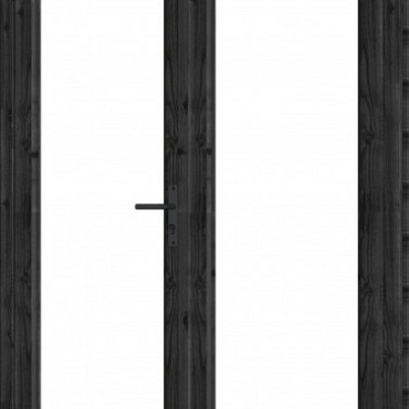 Douglas Steel Look deur dubbel zwart 2x750x2060mm module 01