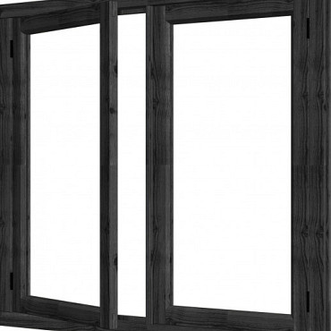 Douglas Steel Look vleugelraam dubbel 674x1296mm zwart - module 01