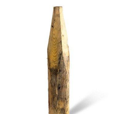 Kastanje palen 300 cm Ø10/12 - geschild en gepunt (A+)