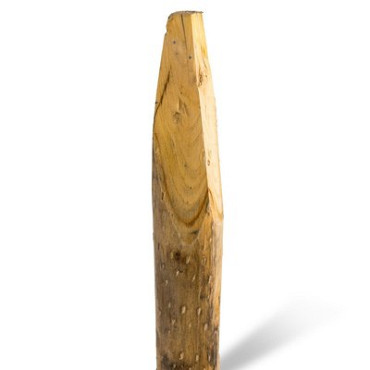 Kastanje palen 250 cm Ø8/10 - geschild en gepunt