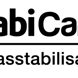 StabiCare zand 0-8 mm bigbag (0,5 m3)