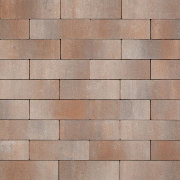 Smartton Vlak Kilimanjaro 10x30x6cm