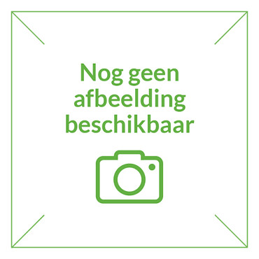 Grondnagels per stuk