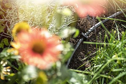 15442135j dsc7782 1024x683