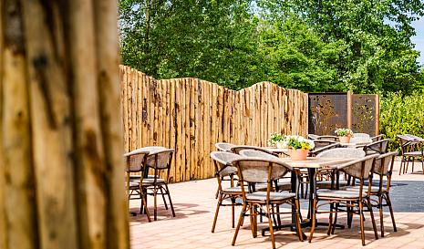 project kastanje palen 10