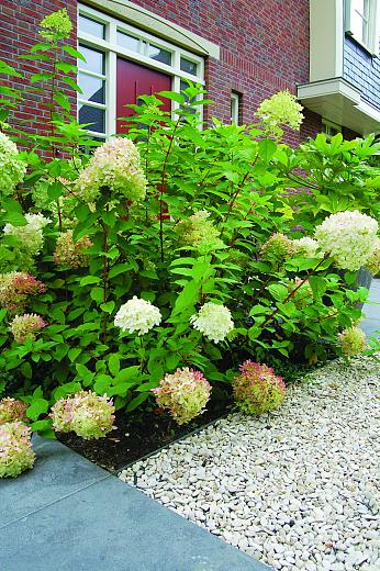 COL-MET verzinkt staal 2mm, 225x10.2 cm Incl. pennen