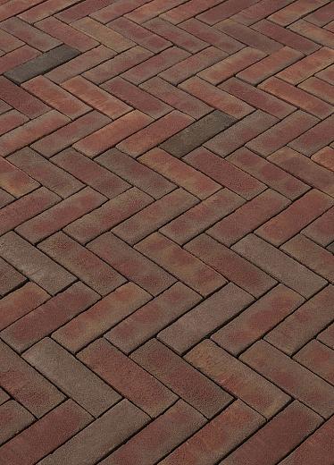 Morado Rood-paars (diverse maten)