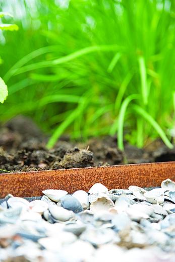 COL-MET corten staal 3mm, 225x20.3 cm Incl. pennen