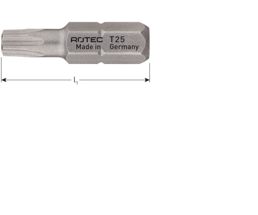 PRO Schroefbit Torx T40 L=25 (2 st per set)