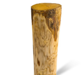 Kastanje palen 400cm Ø 10/12 geschild, onpunt (A+)