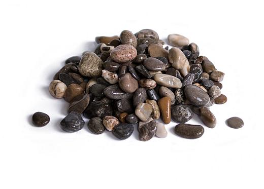 Morane (diverse soorten)