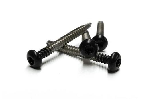 RVS schroef met gekleurde top voor NTW Castellation PRO, set a 50 stuks incl. bit, Ebony Zwart.