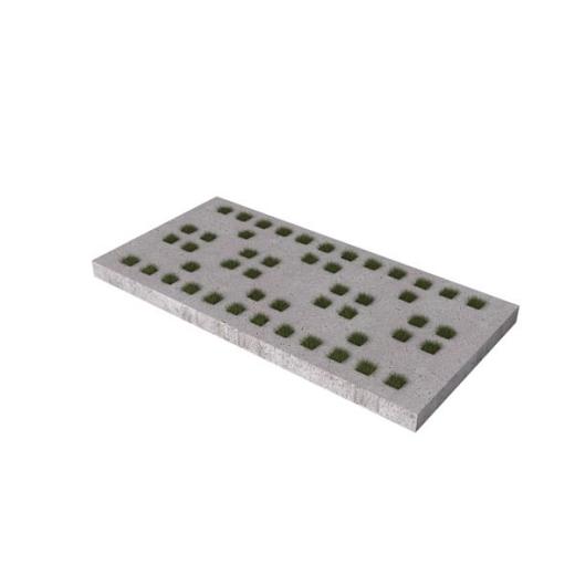 Grasbetonplaat Matrix 200x100x10 cm Grijs