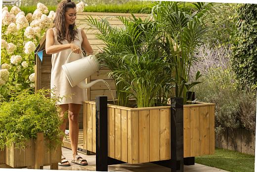 Douglas geschaafde plank 1,8 x 16,0 x 180 cm, onbehandeld.