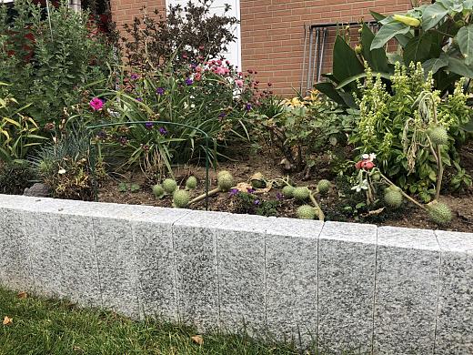 PALISSADE G603 GRIJS PIAZZO 12X12X50CM