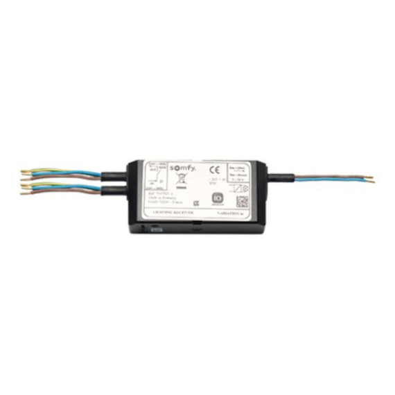 Receiver Somfy IO tbv compleet set met Con12