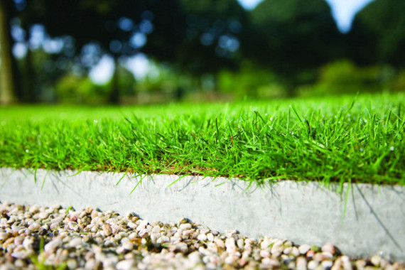 COL-MET verzinkt staal 2mm, 225x10.2 cm Incl. pennen