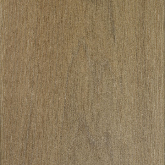 Forest 80x40x4 Betula brown