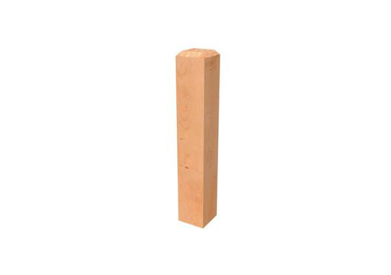 Hekstaander douglas, 14 x 14 x 82,7 cm, onbehandeld.