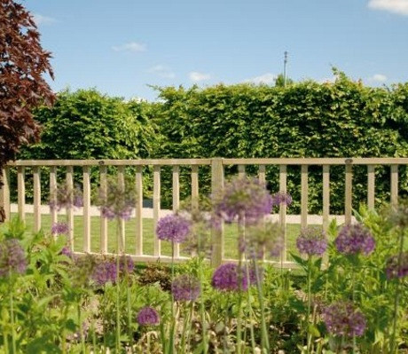 Hillhout Countryhek Excellent 180 x 80 cm, vuren groen geïmpregneerd.